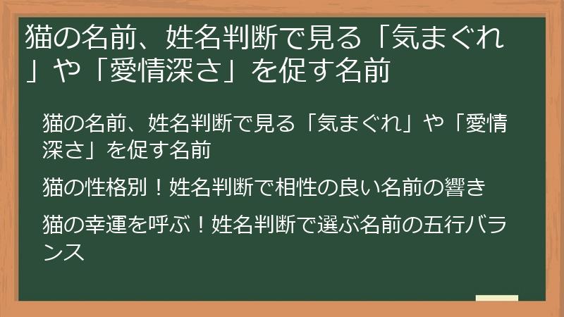 猫の名前、姓名判断で見る「気まぐれ」や「愛情深さ」を促す名前